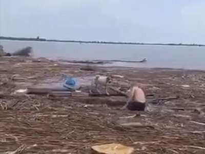 Ну як воно, добилися мети? (вірш)