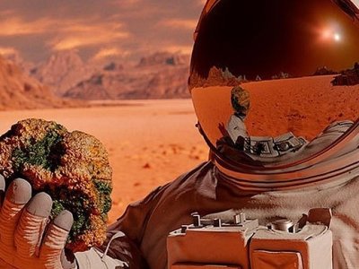 Відкрито несподіваний секрет колонізації космосу: цей процес існує на Землі мільярди років