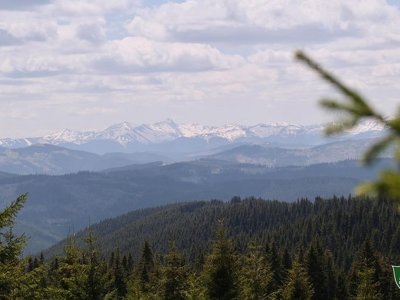 Лісівники з Буковини показали неймовірні кадри з гори Томнатик – фото