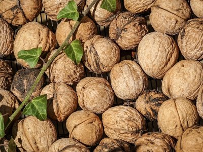 Названо 8 продуктів тривалого зберігання з поживними речовинами