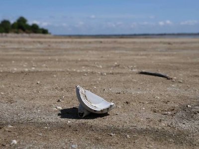 Якщо не ГЕС: чи має Каховське водосховище аграрну альтернативу