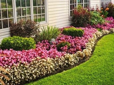 Майбутній розкішний сад: висадіть ці квіти просто зараз