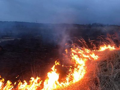 На Тернопільщині горіла суха трава і сміття: вогонь охопив майже два гектари площі