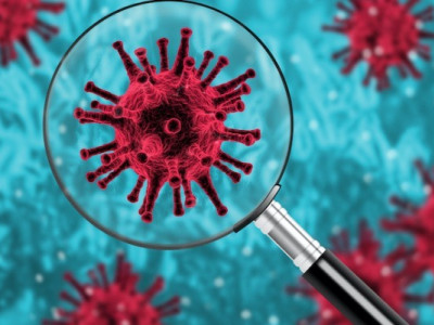 Світом шириться новий штам коронавірусу «Пірола»: що про нього відомо