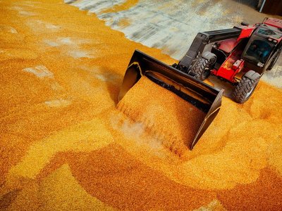 Бум виробництва кукурудзи у Бразилії створює експортні проблеми з рекордним врожаєм у США