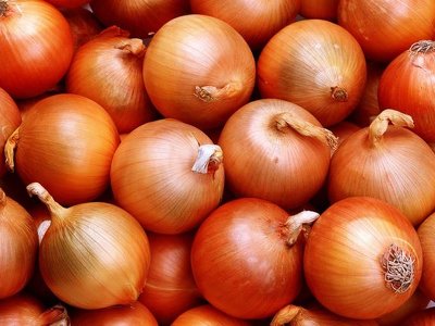 В Україні дорожчає ріпчаста цибуля: як довго зростатиме вартість