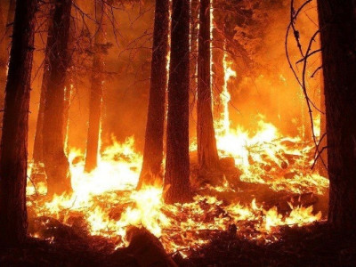 Уражені атмосфера, вода та земля: збитки для довкілля і далі зростають