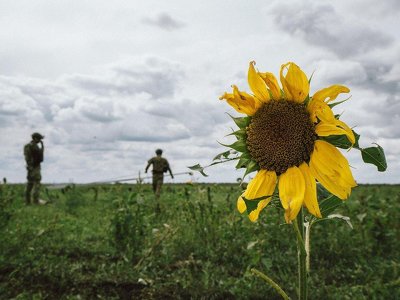 ЗСУ продовжують наступальні дії на Мелітопольському і Бахмутському напрямках, – Генштаб