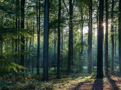 Душогуби після вбивства пішли у кафе на коньяк із кавою