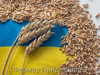Польща прагне відсутності українського зерна на своєму ринку