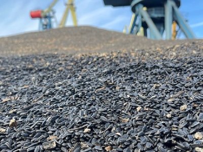 На сільгосппідприємстві у Болградському районі загинув чоловік: його на смерть засипало насінням