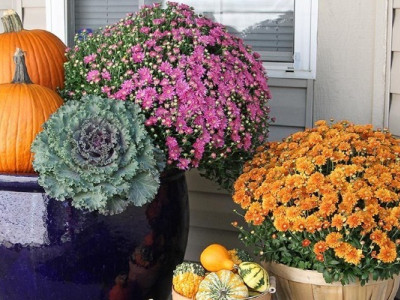 Осінні квіти на українських вулицях (фоторепортаж)