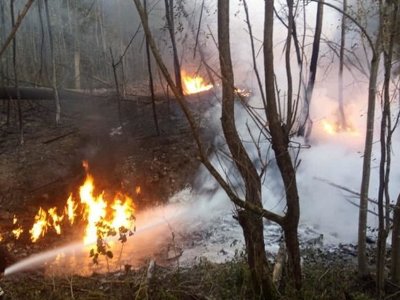 Унаслідок пожежі нафтопроводу на Івано-Франківщині постраждали 9 осіб (фото)