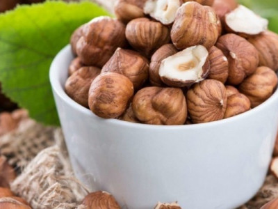 В Україні почали активніше вирощувати фундук: чому фермери обирають саме цей горіх