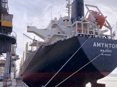 Росія не спроможна повністю заблокувати експорт зерна по Чорному морю: запрацював гуманітарний коридор – Одеська ОВА