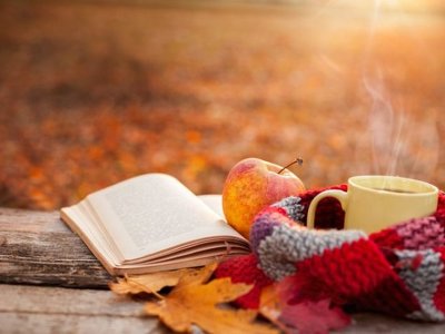 Розмови в барі, курча з чорносливом та спеції для серця – 5 нових книг для душевного комфорту