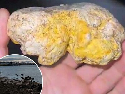 Житель Великої Британії знайшов під час прогулянки з собакою «камінь» ціною кілька тисяч фунтів стерлінгів