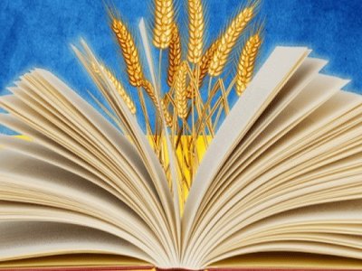 Задля української мови не можна знищувати українську державу