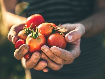 Експерти порадили вживати п’ять продуктів для хорошого сну