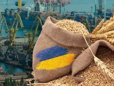 Американська торговельна палата вбачає загрозу українському агроекспорту у схвалених ВР законопроєктах
