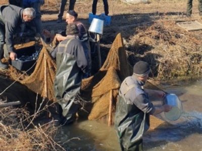 Нове життя екосистемі: на водоймах Одещини проводяться роботи по зарибленню