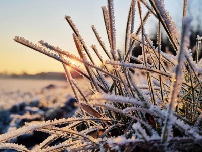Перше грудня на календарі: все про цей день