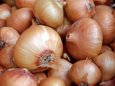 Як зберегти цибулю до весни