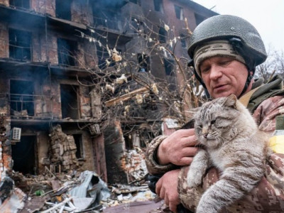 Як Зоопатруль Україна та Purina рятують таврин під час війни