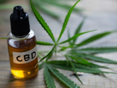 Як ефект плацебо впливає на ефективність CBD олії?