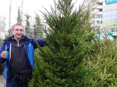 Де купити ялинку в Хмельницькому в 2023 році