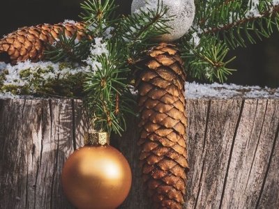 Свято Маланки та Щедра кутя: дата за новим календарем, історія та традиції