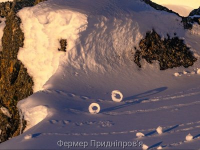 «Кому снігових «бубличків»?» - питає Природа
