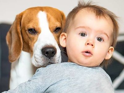 Домашні тварини можуть покращити здоров’я ваших дітей – дослідження