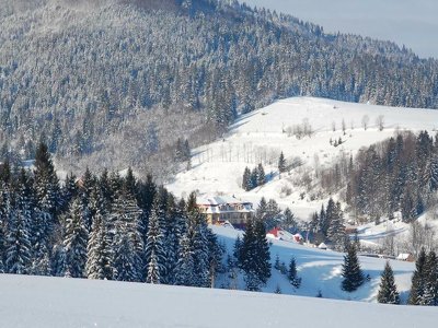 У Карпатах викрили готельний комплекс, який працював без жодної реєстрації