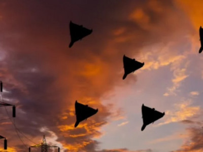 Нічна атака РФ на Україну: ППО знищила 16 “Шахедів” із 23, але є і влучання з наслідками