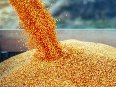 У Польщі заявили, що переговори з Україною про агропродукцію на завершальній стадії