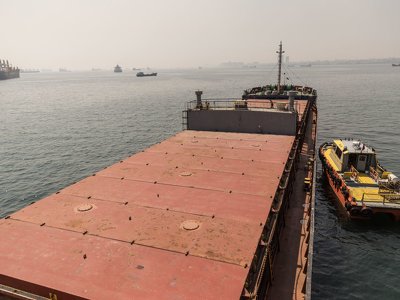 На тлі блокади кордону з Польщею Україна планує новий експортний маршрут через Дунай