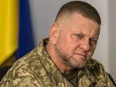 Головні причини звільнення Зaлужного