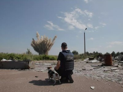 Антон Птушкін зняв свій перший повнометражний фільм «Ми, наші улюбленці та війна»