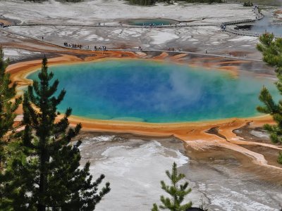 Комп'ютерний аналіз геномів екстремістів показує, що умови їхнього життя записані в ДНК
