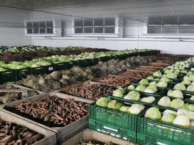 Цього року в Україні планують побудувати овочесховищ на 40 тис. тонн