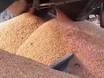 Торік імпорт аграрної продукції з росії в Польщу перевищив рівень до повномасштабної війни