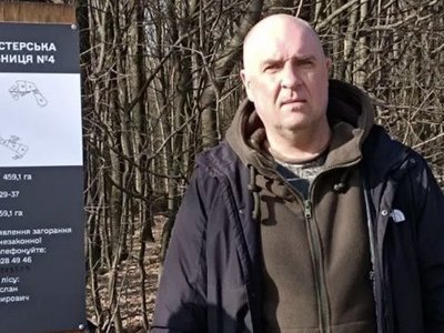 Чому вирізають ліс?