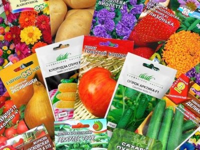 На що потрібно звернути увагу при купівлі насіння: поради