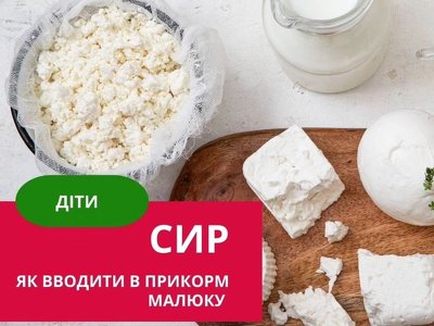 Сир. Як вводити в прикорм малюку? Базові правила (ІНФОГРАФІКА)