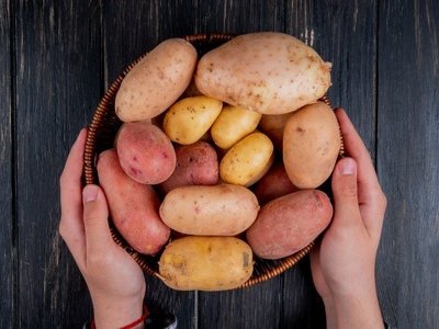 Чи можна вживати у їжу пророслу картоплю - ви повинні це знати