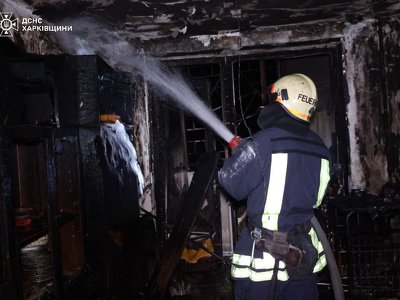 На Олексіївці горів будинок: двоє загиблих, матір із дитиною врятували (фото)