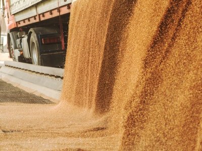 Угорщина запровадить нові обмеження на імпорт сільгосппродукції з України