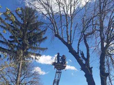 На Франківщині лелекам встановили нове гніздо