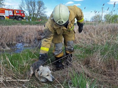 Не лишаємо у біді нікого На Дніпропетровщині співробітники ДСНС визволили п…